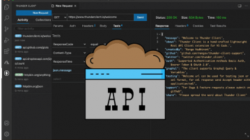 Postman Alternative for VS Code to Make API Requests Thunder Client